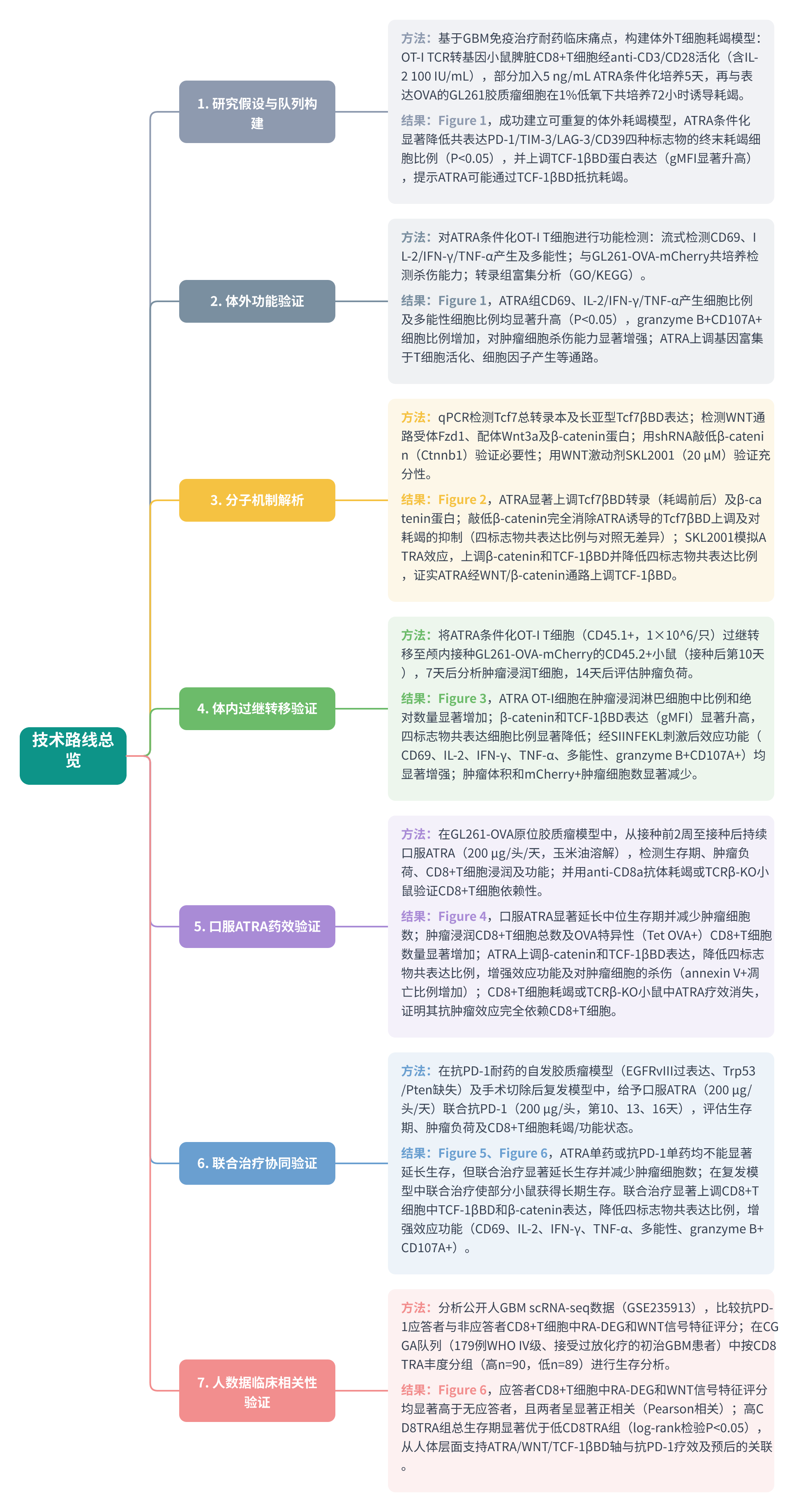 全文技术路线图