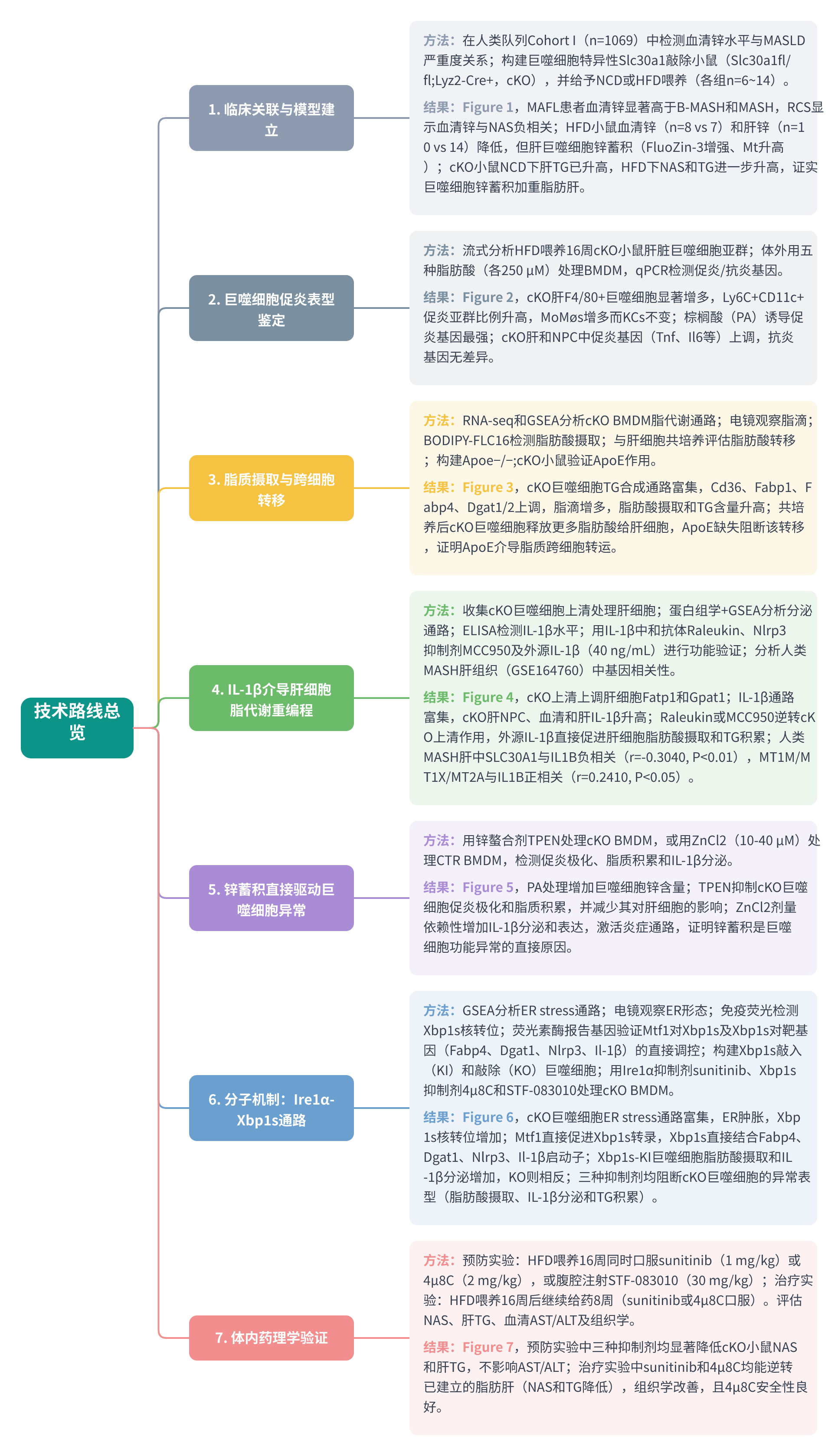 全文技术路线图