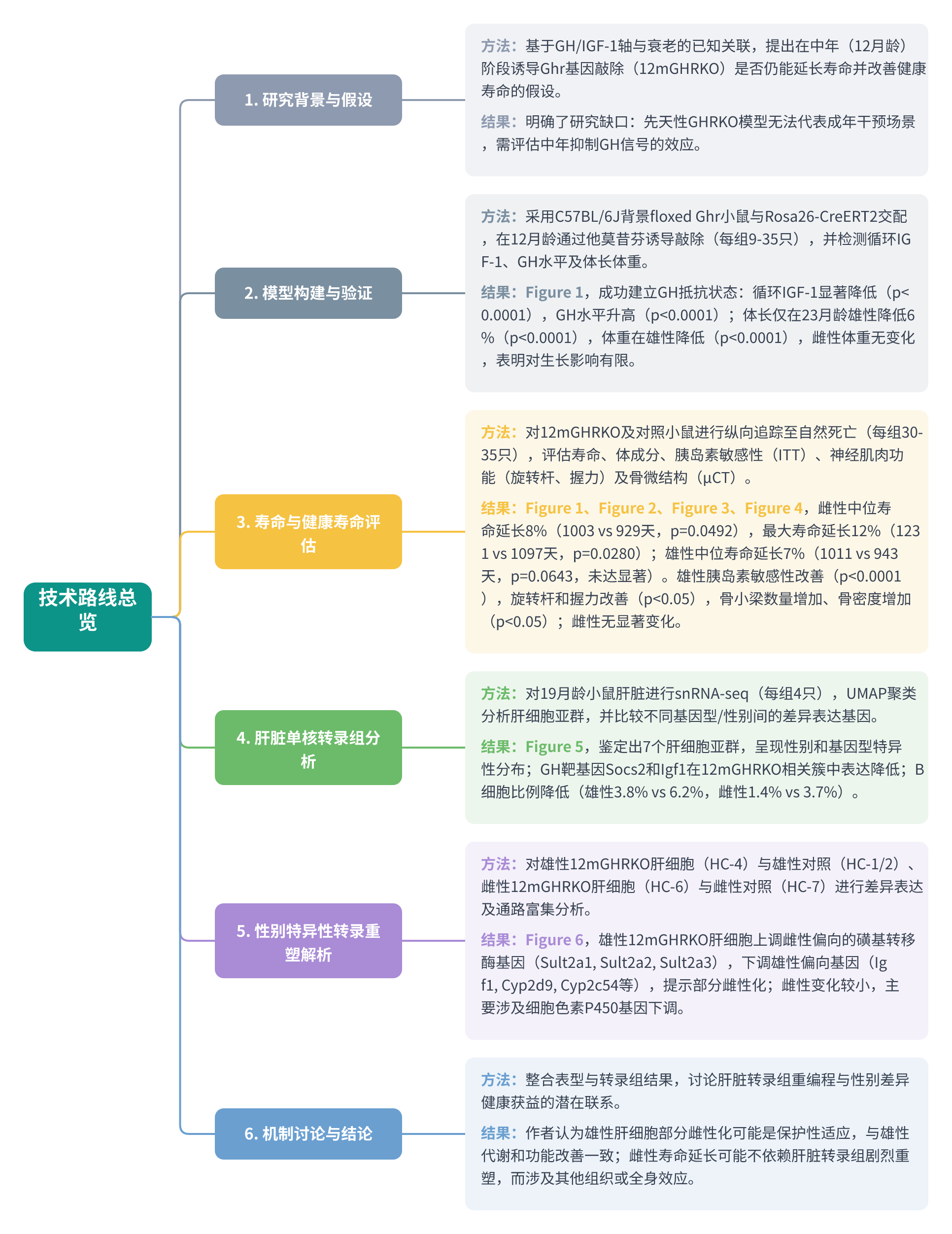 全文技术路线图