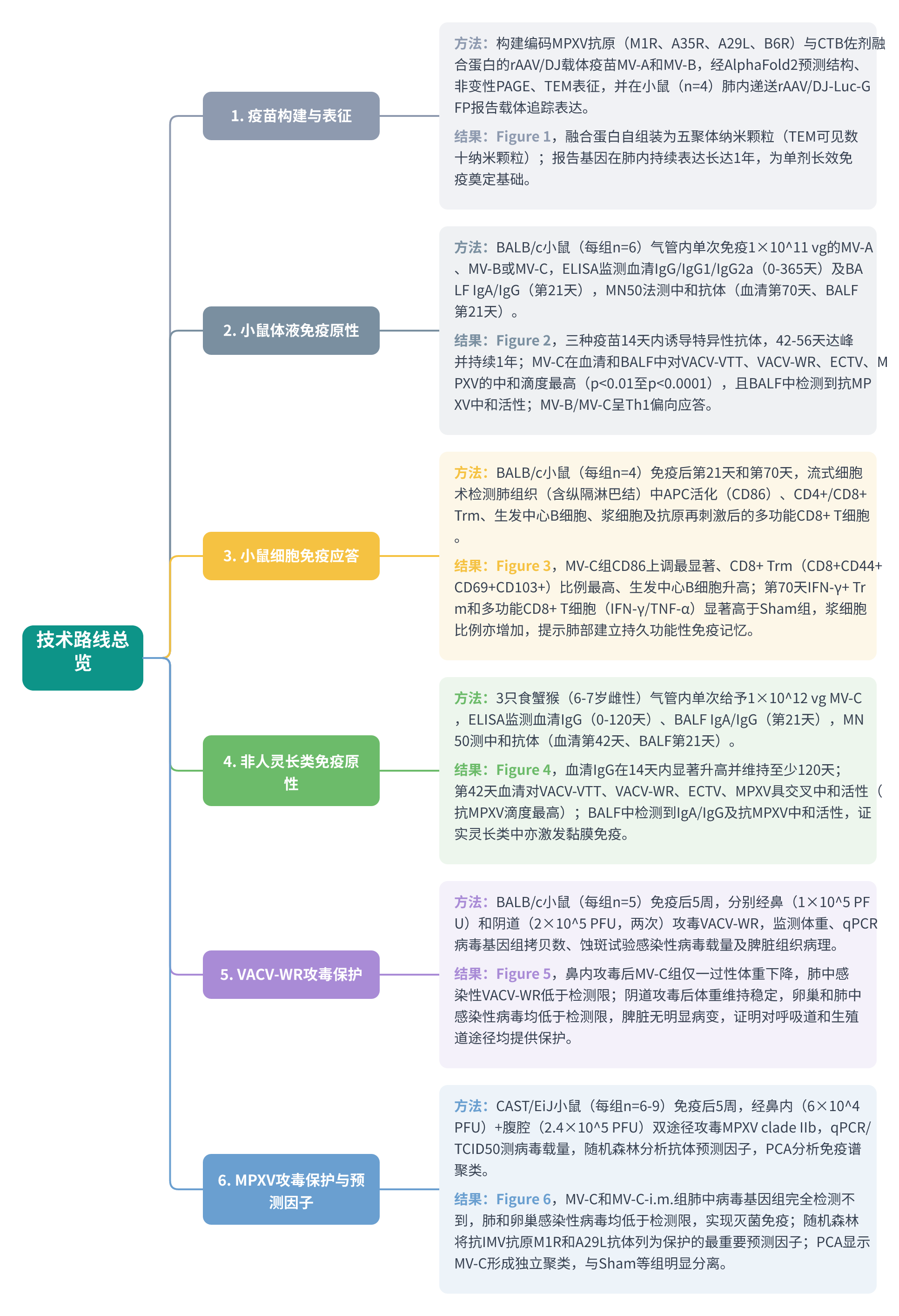 全文技术路线图