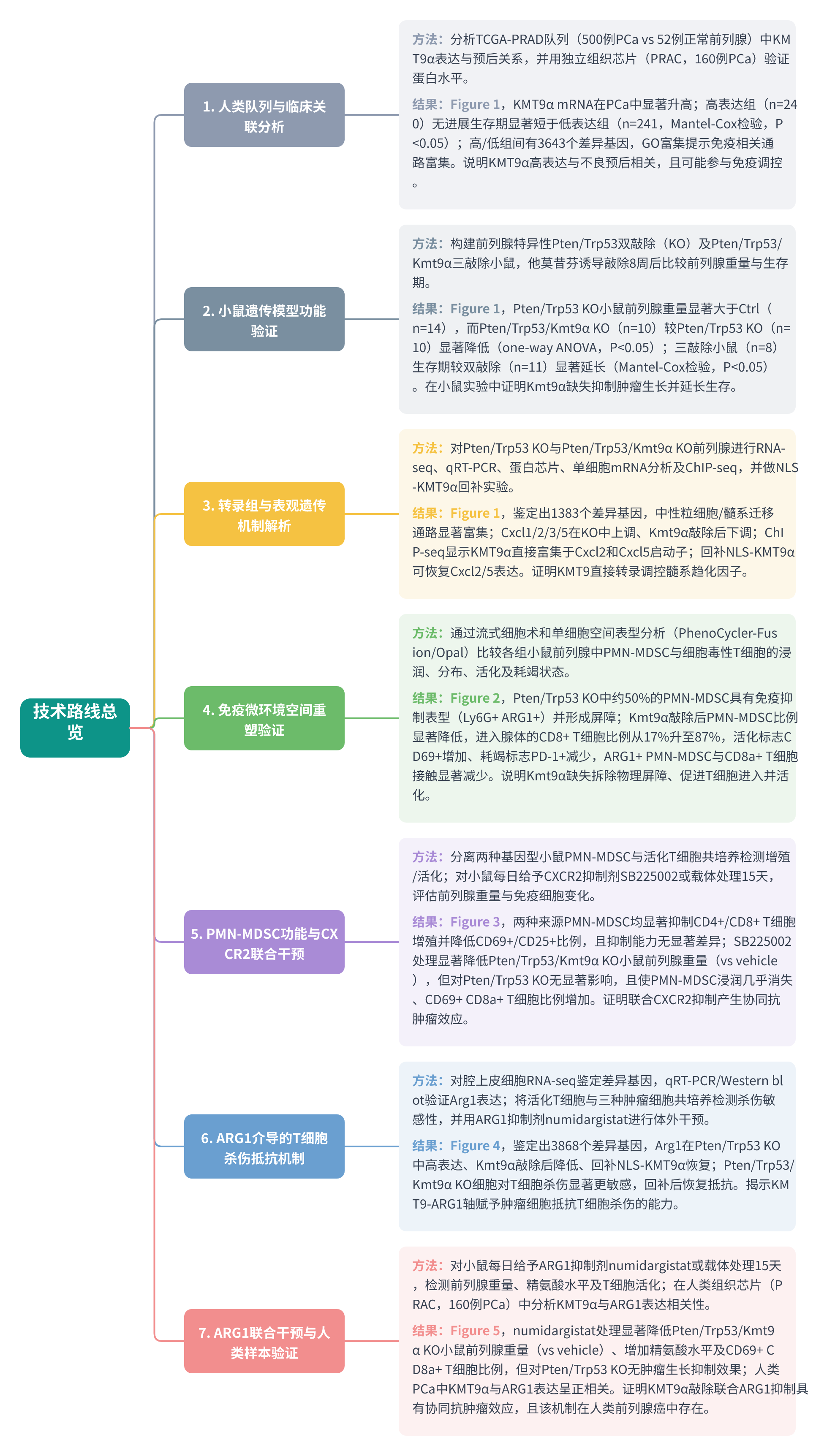 全文技术路线图