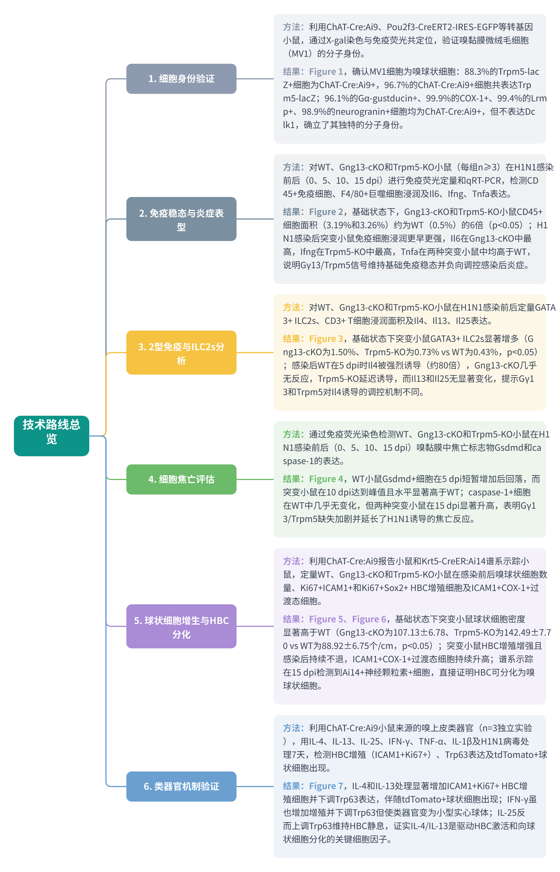 全文技术路线图