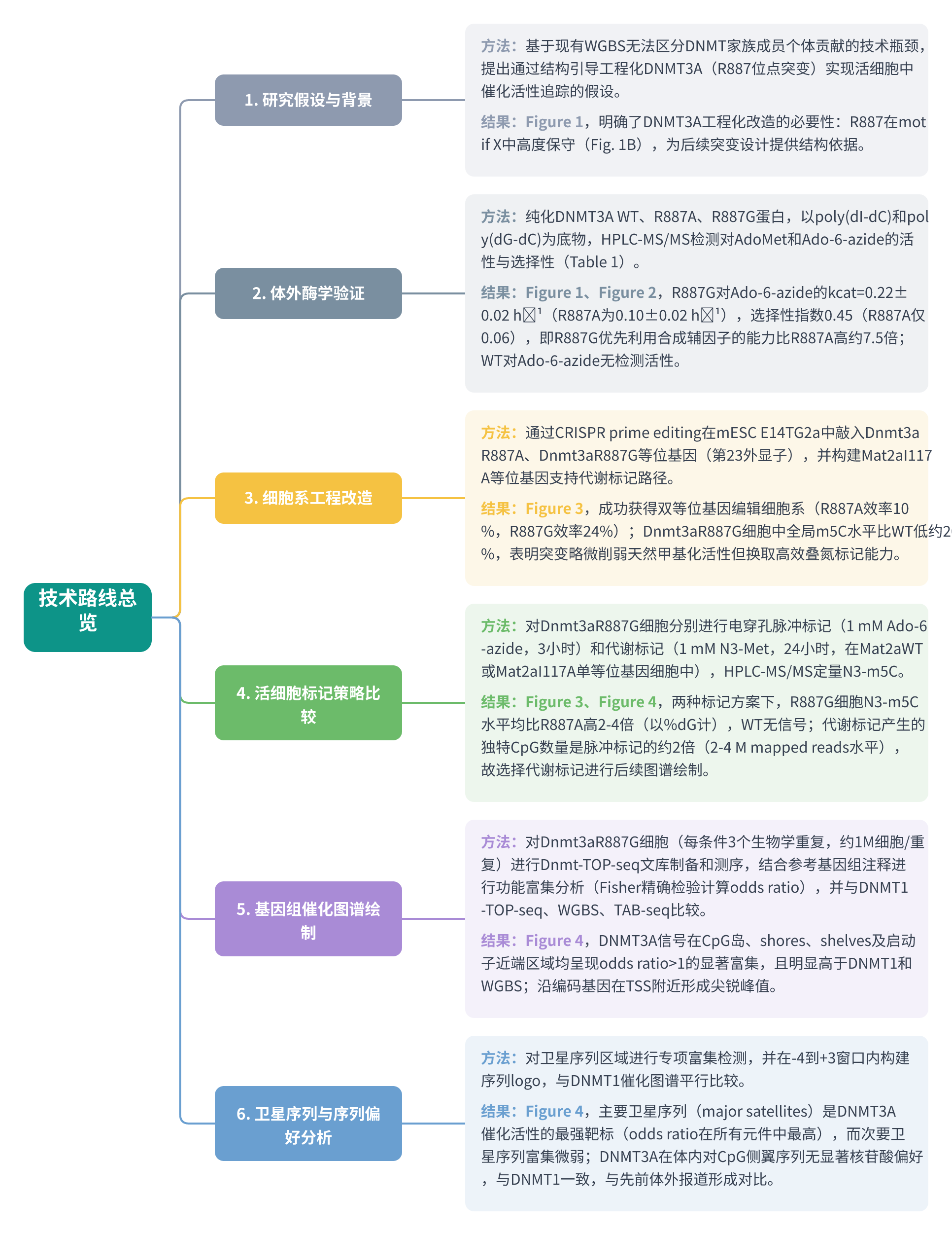 全文技术路线图