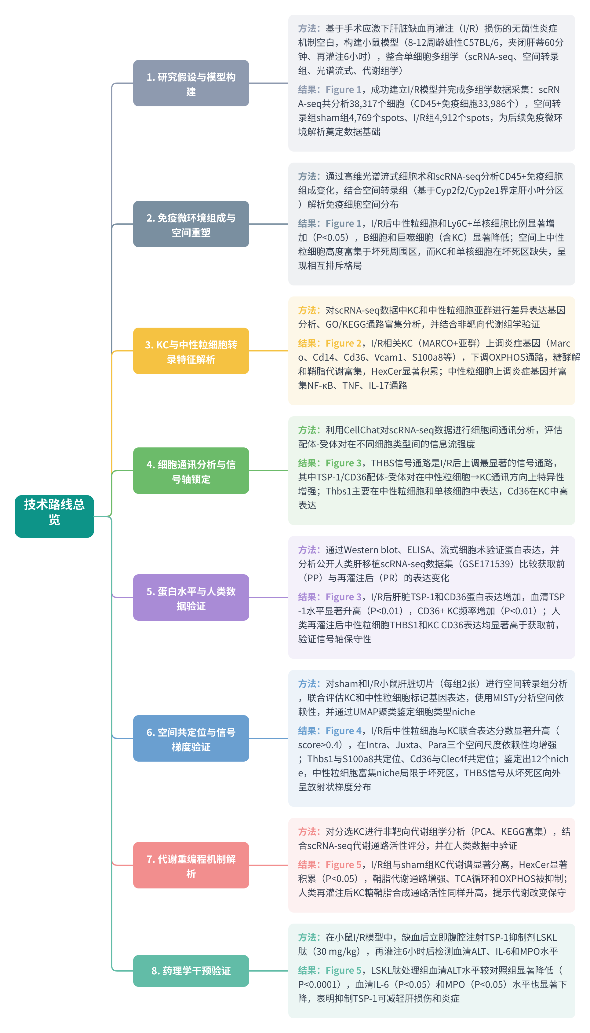 全文技术路线图