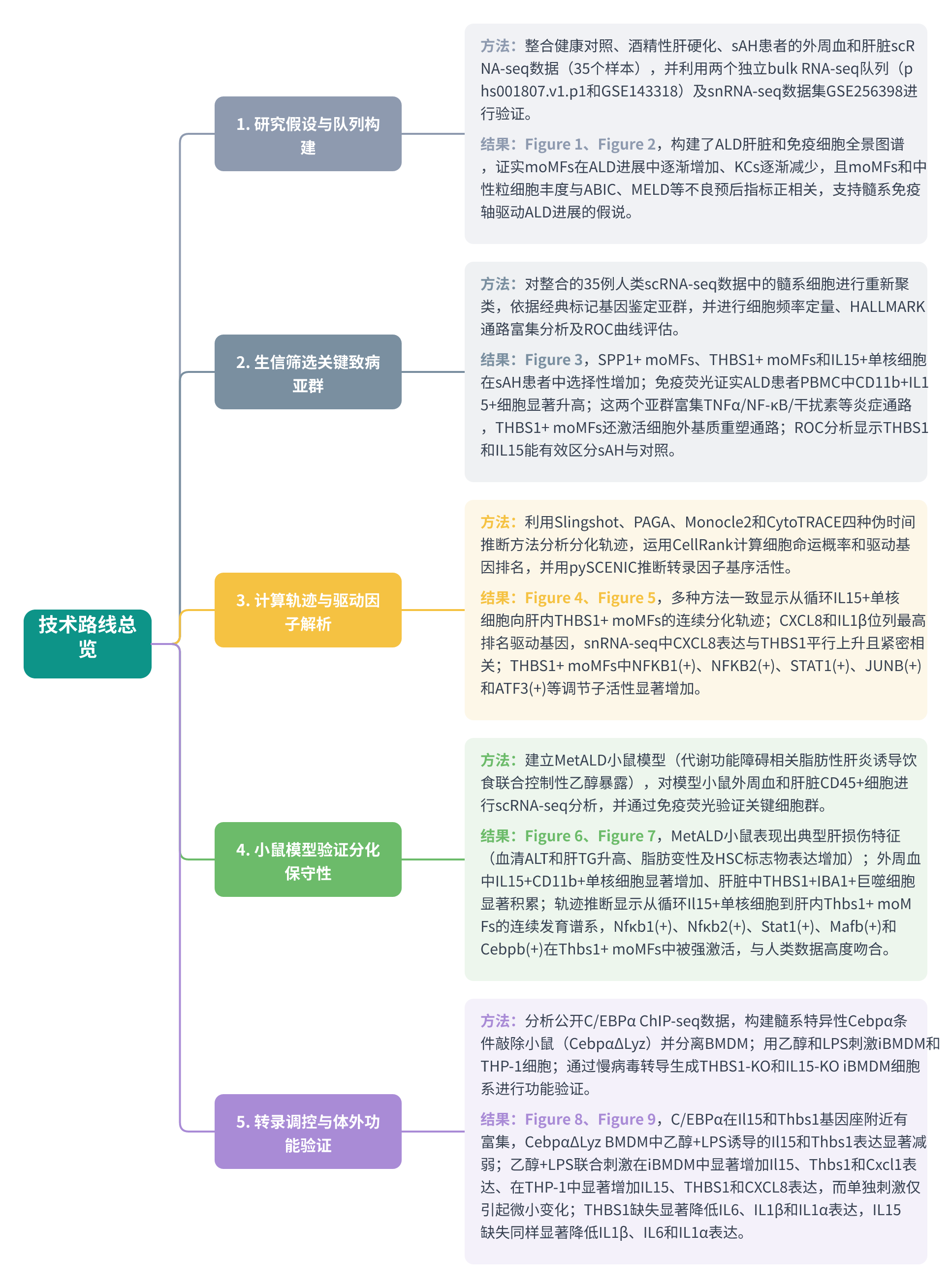 全文技术路线图