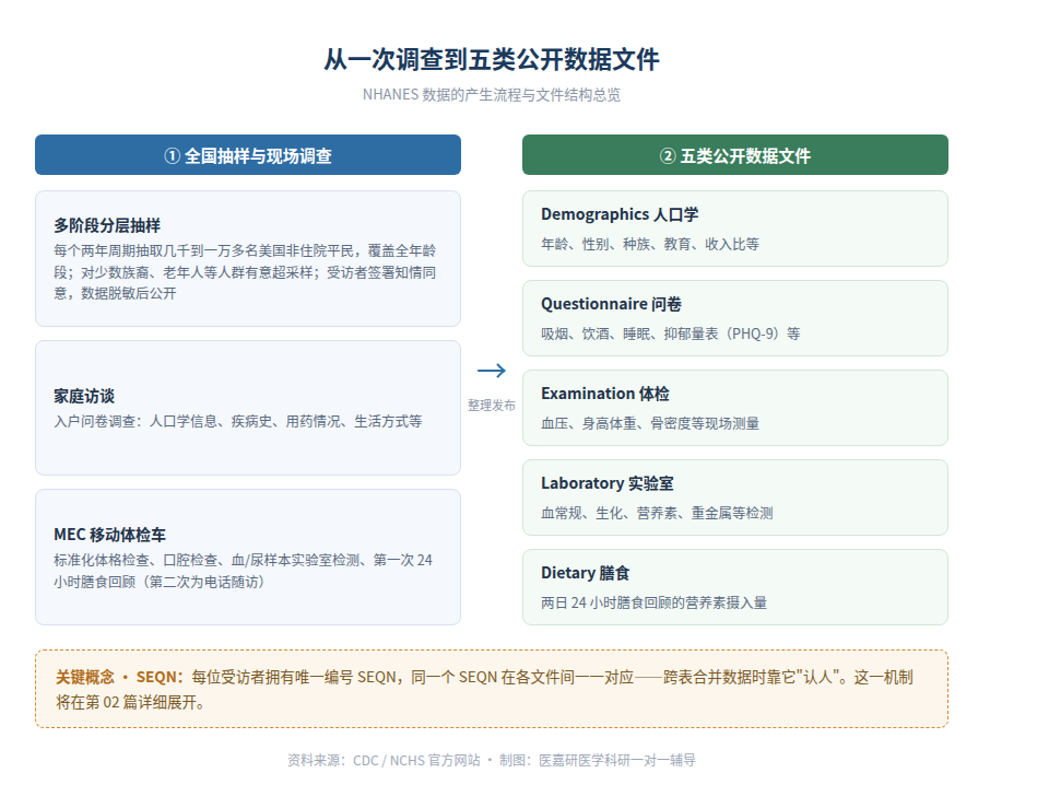 图3 从一次调查到五类公开数据文件