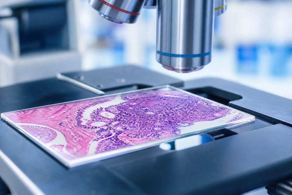 病理学实验